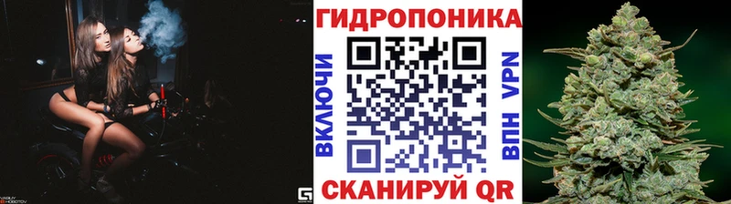 Конопля LSD WEED Сольцы